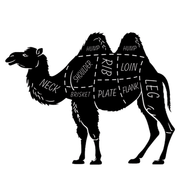 شتر