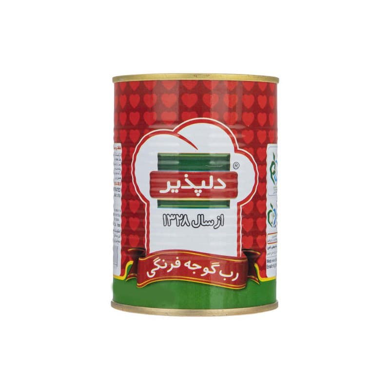 رب گوجه فرنگی دلپذیر وزن 400 گرم