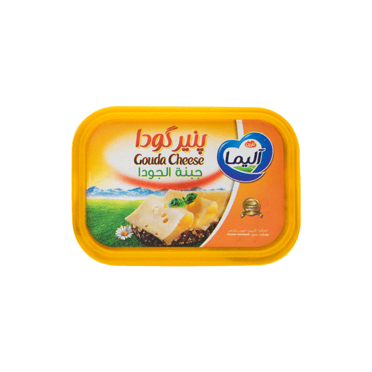 پنیر گودا 250گرمی آلیما
