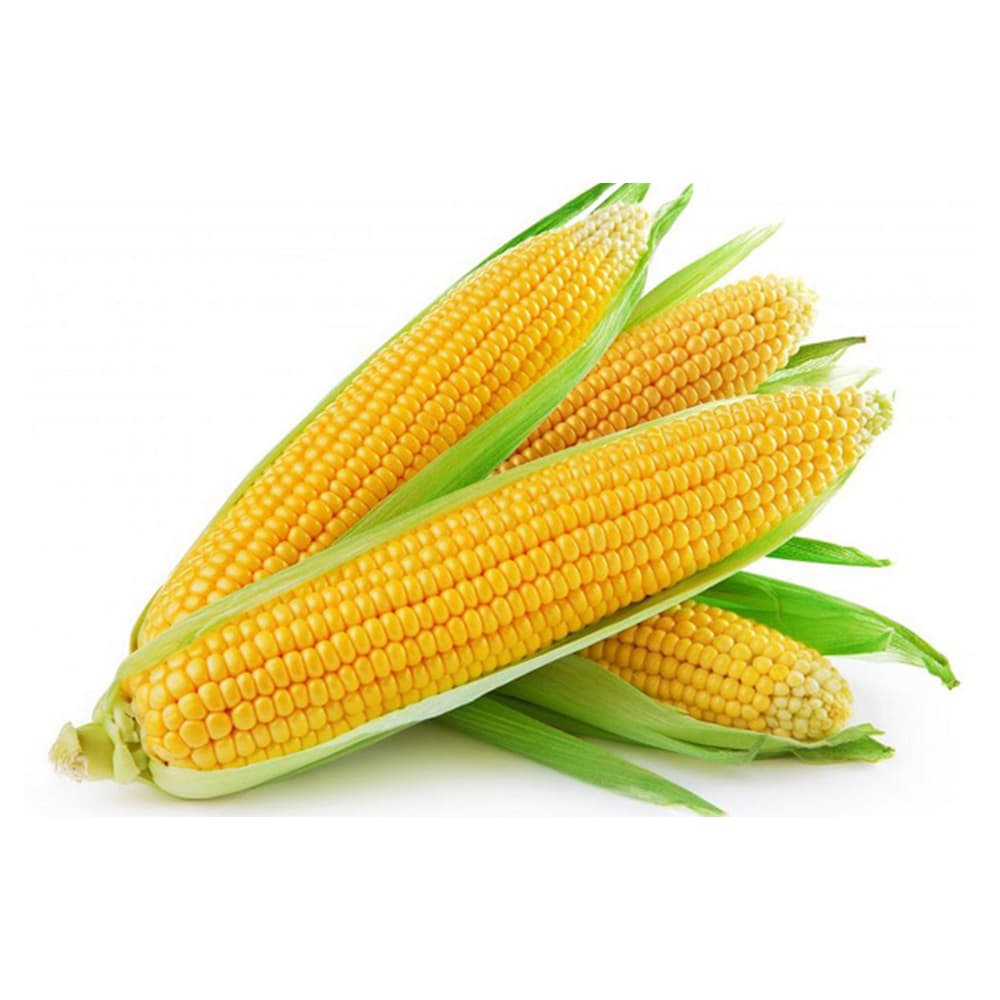 ذرت اسلایس فروت بار