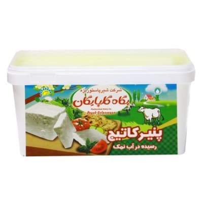 پنیر کاتیج 400گرمی گلپایگان پگاه
