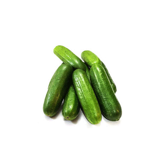 خیار اصلاحی فروت بار
