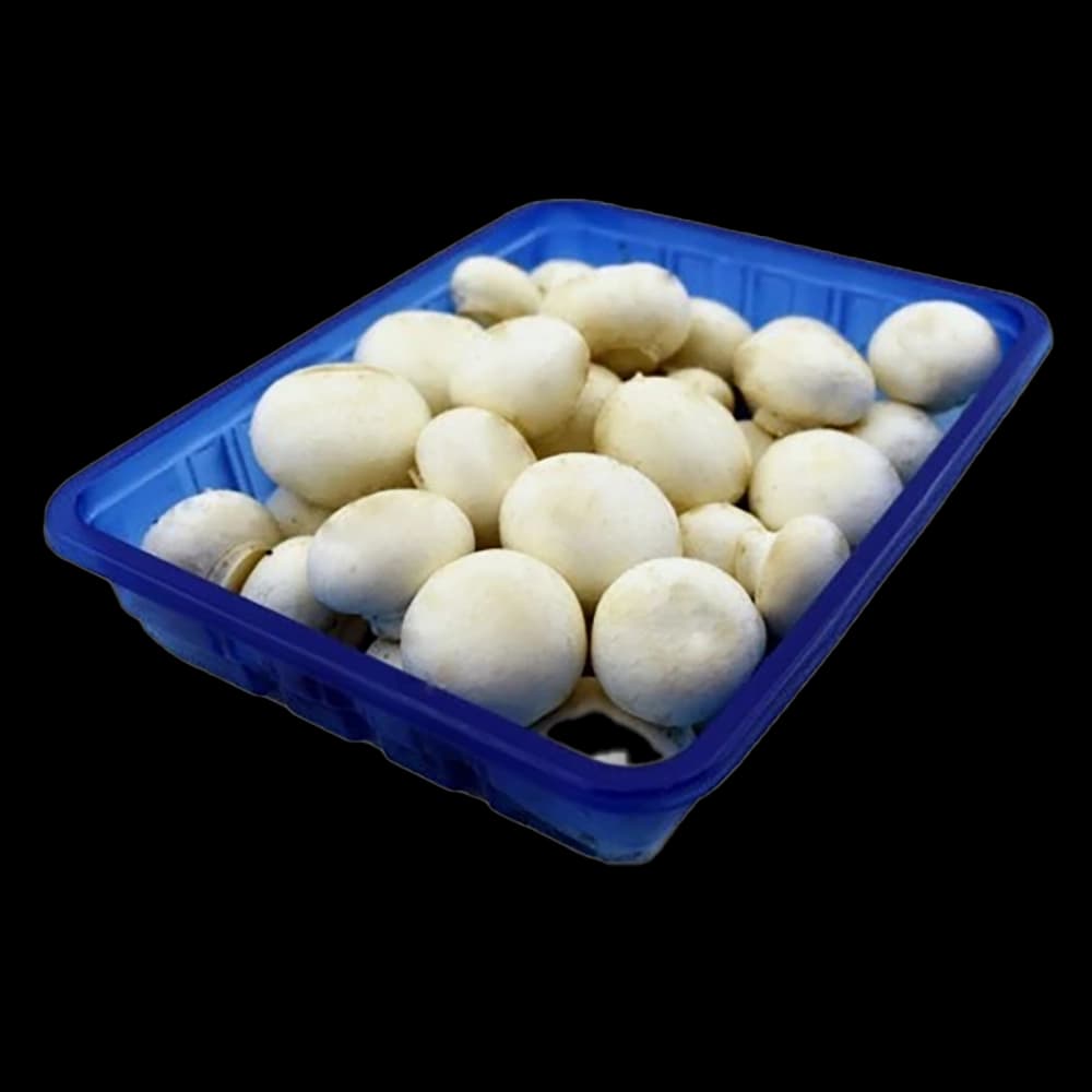 بيبي قارچ 250 گرم يكتا