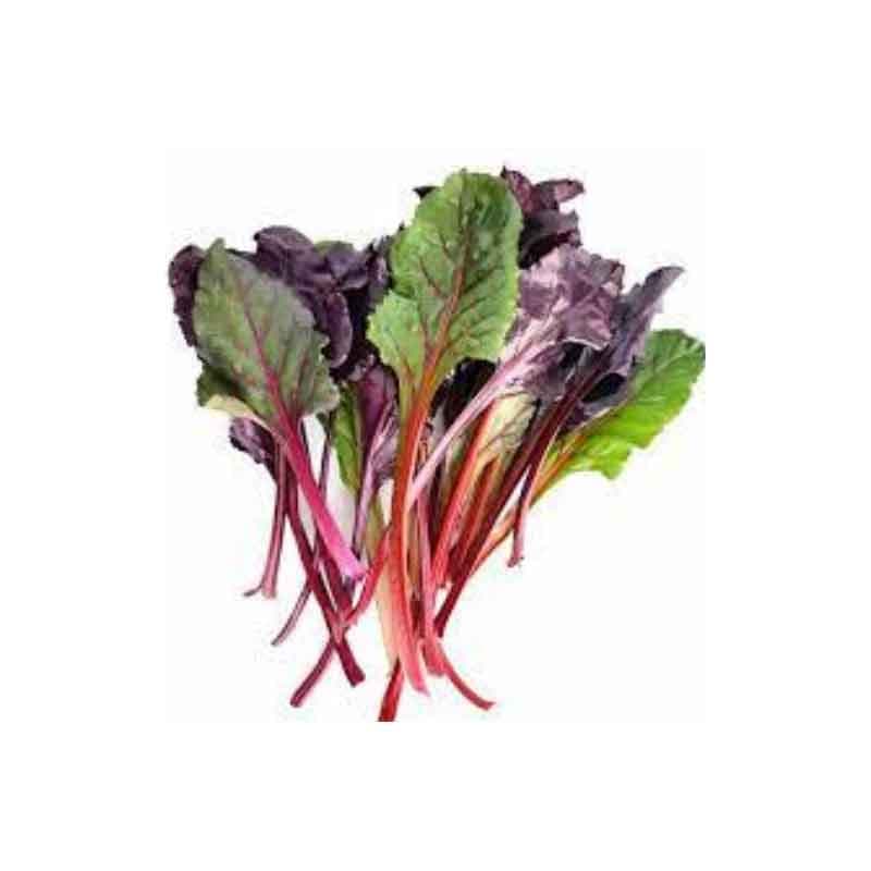 سبزی سوییس چارد کاناز کشت
