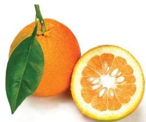 نارنج فروت بار