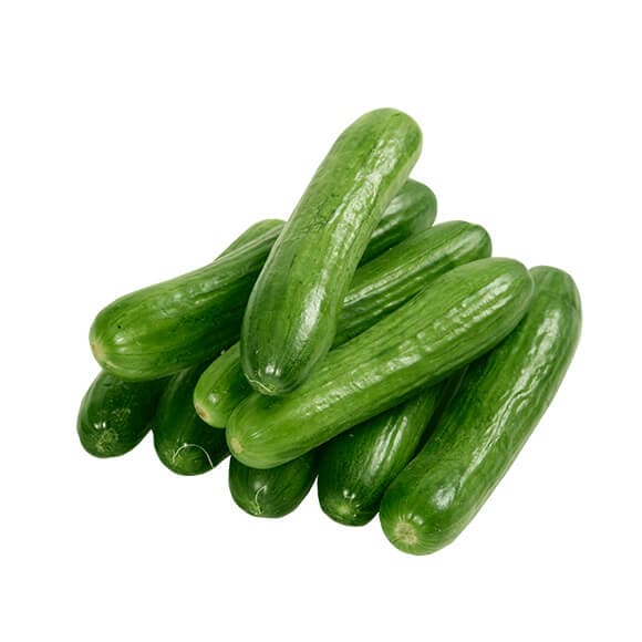 خیار درختی فروت بار
