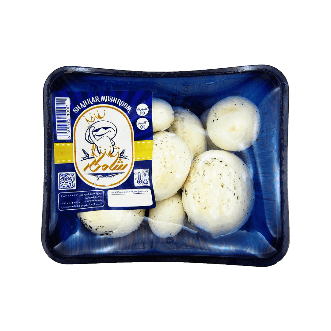 قارچ شاهکار وزن 300 گرم
